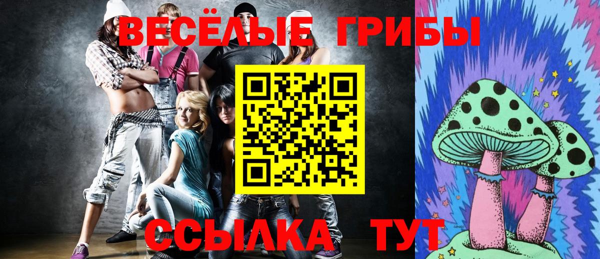 Галлюциногенные грибы мицелий  Вход с VPN  Северск 